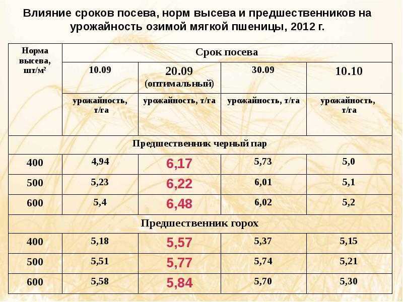 Ячмень в сельском хозяйстве