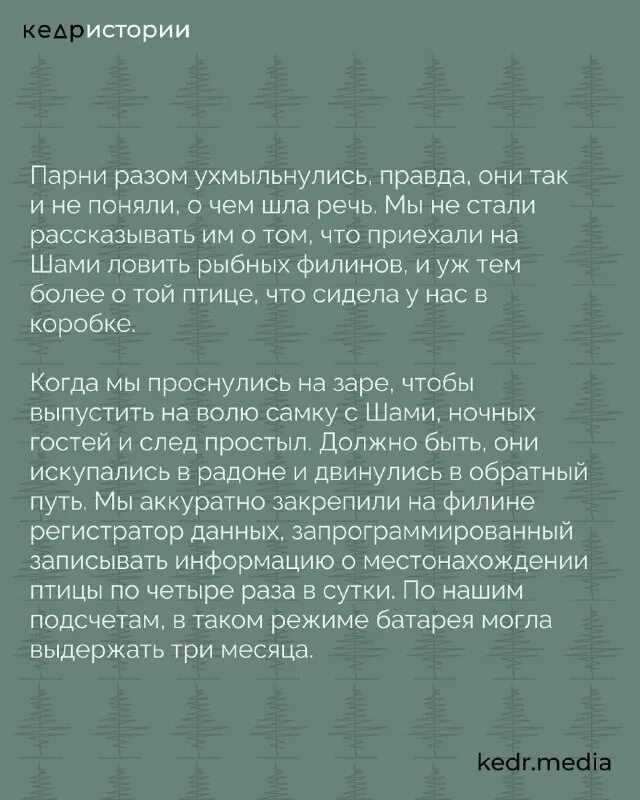 Торф - abcdef.wiki