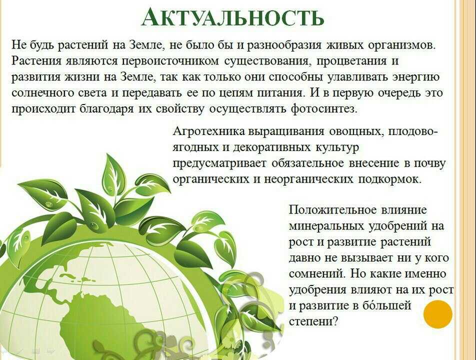 Биологические особенности и приемы возделывания многолетних луков в условиях среднего урала