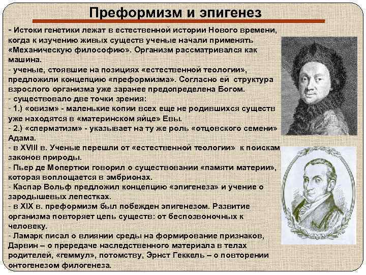 5.1.1. эпигенез и преформизм в истории философии и естественных наук. самоутверждение подростка