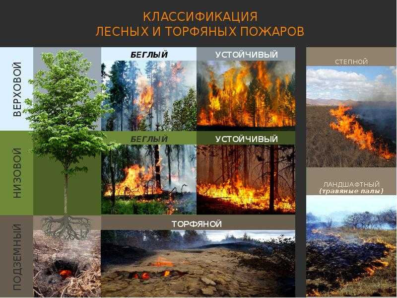 Лесные пожары: виды, классификация, категории, причины, последствия, этапы ликвидации, мониторинг и ответственность