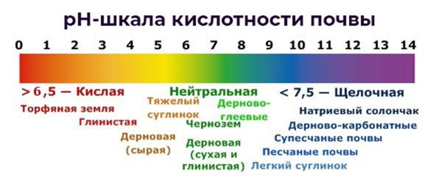 Рh почвы для растений: таблица оптимальной кислотности грунта