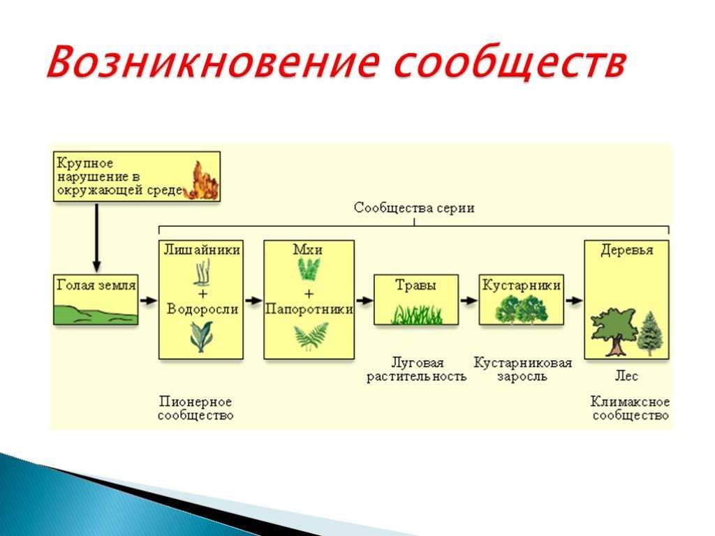 Щйняхярелю