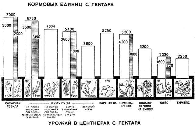 Глубокая переработка кукурузы что это
