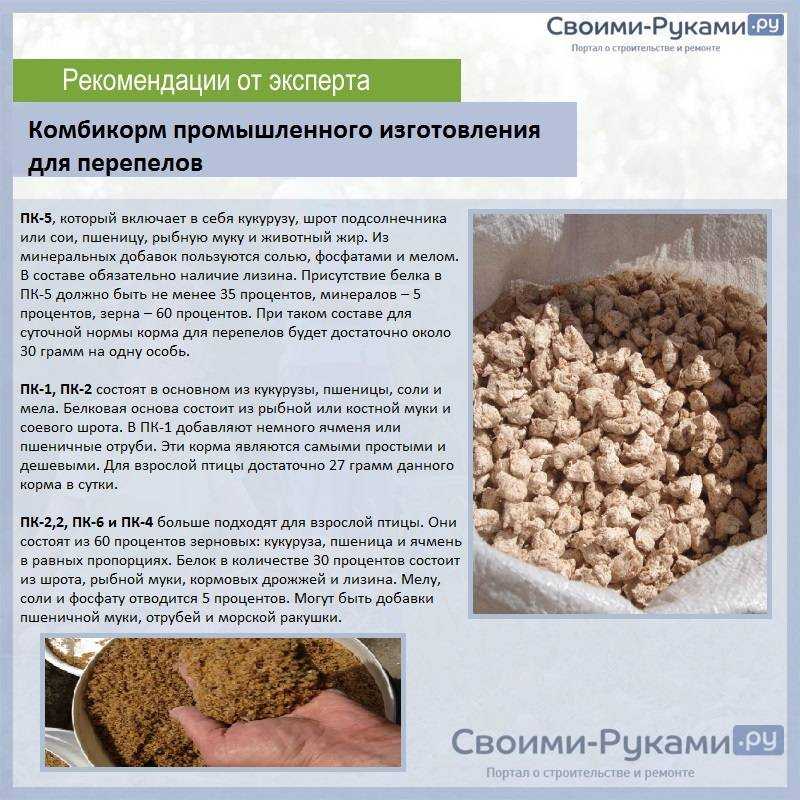 Горох вместо сои в кормах для животных предлагают использовать немецкие ученые - новости meatinfo.ru