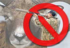 Хорошие и плохие стороны охоты на диких животных