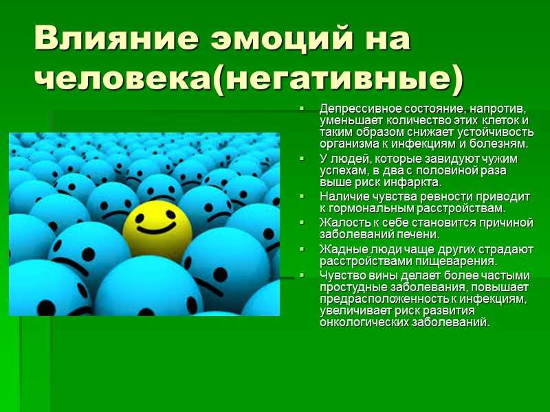 Степь: что это такое, климат, животный и растительный мир, характеристика