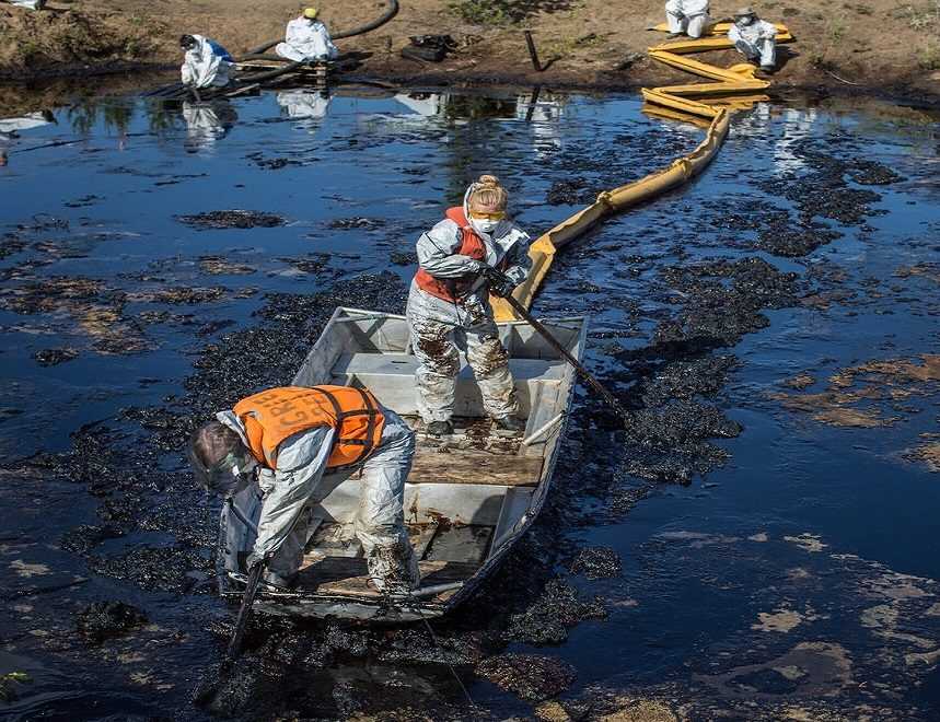 Загрязнение нефтью: основные причины, районы, последствия для экологии и окружающей среды