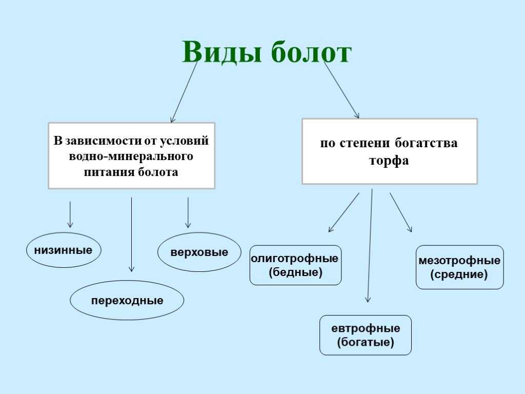 Как создать болото в игре minecraft: подробное руководство