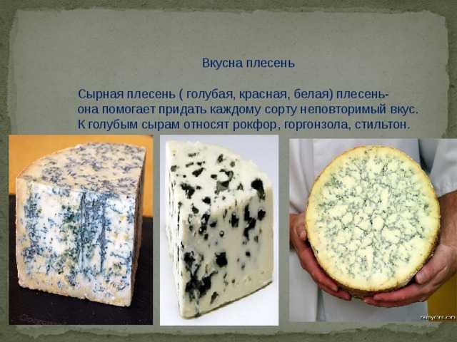 Как делается сыр с плесенью: рецепт и секреты приготовления благородного деликатеса - сырофил