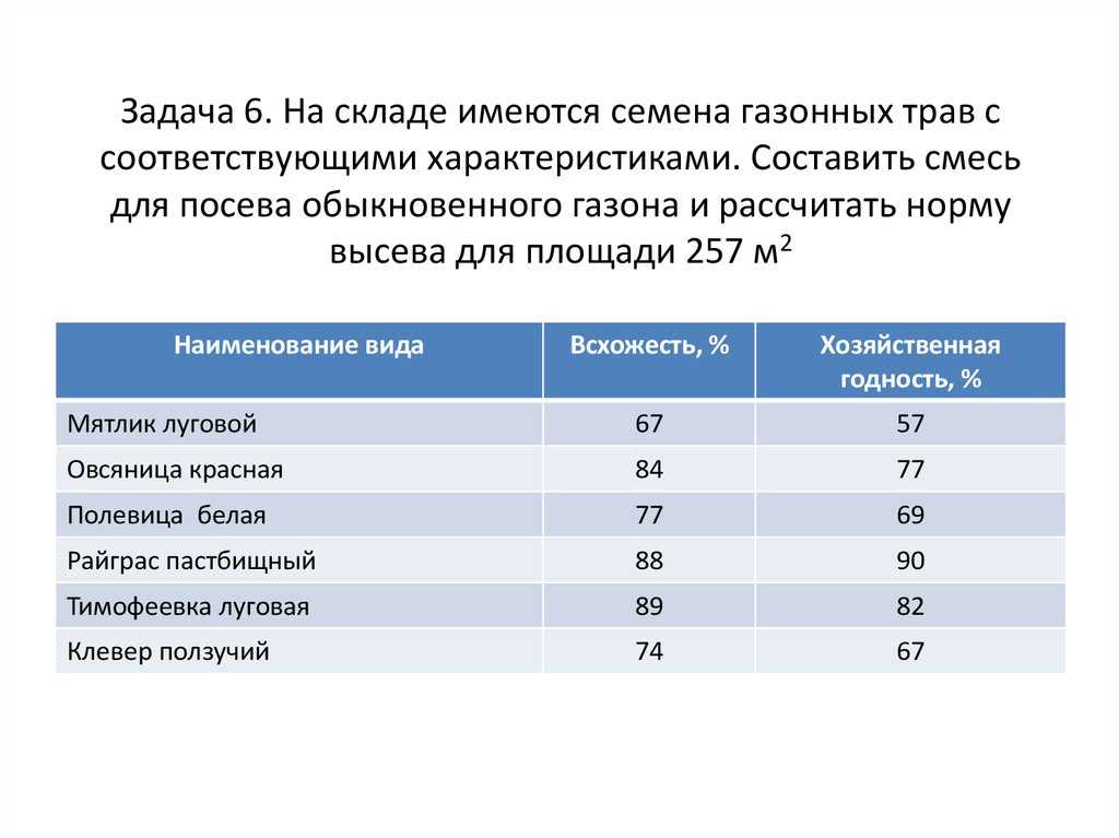 Райграс многолетний