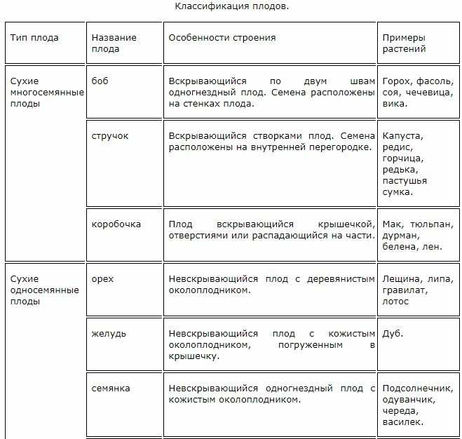 Презентация на тему "тема: строение плода, семя. типы сочных и сухих плодов."