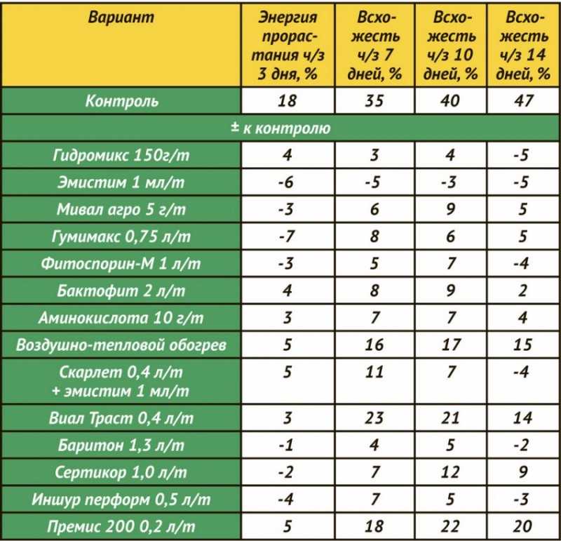 Когда сажать яровую пшеницу: правильный подход и сроки - советы от экспертов