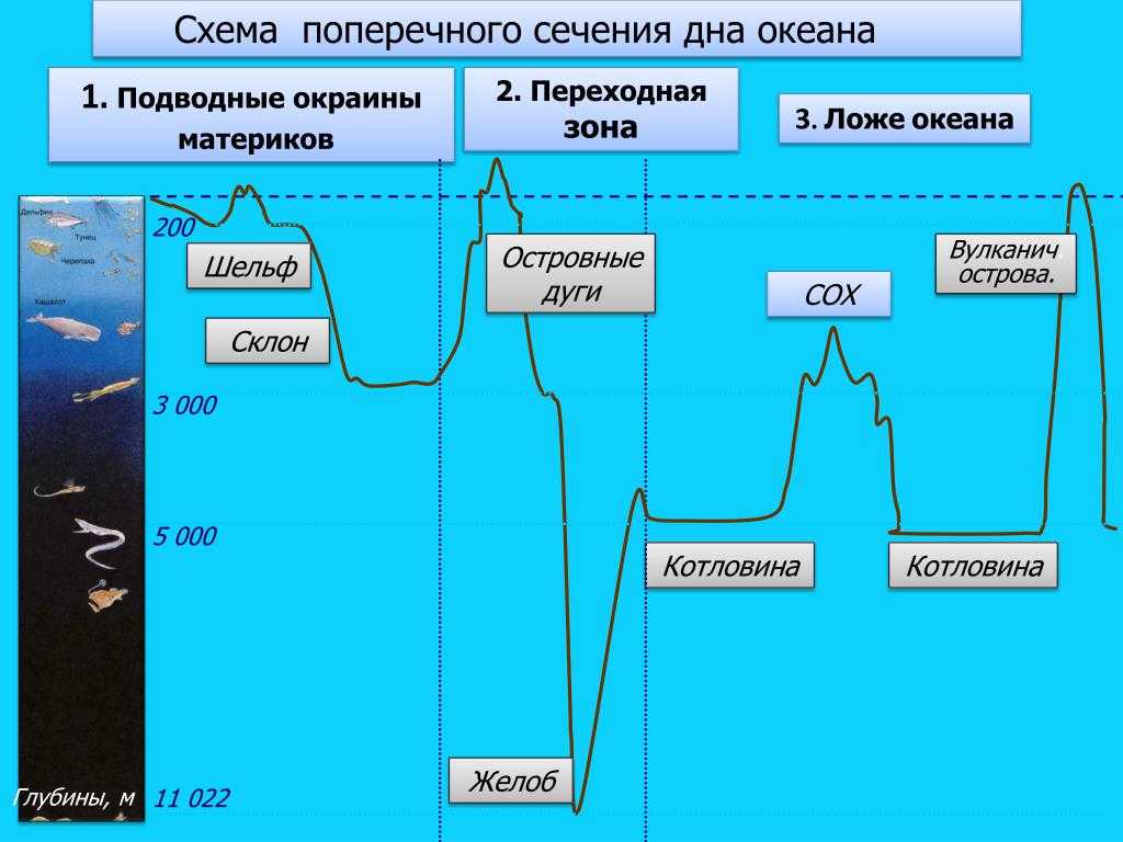 Геотектоника на сайте игоря гаршина. движение материков
