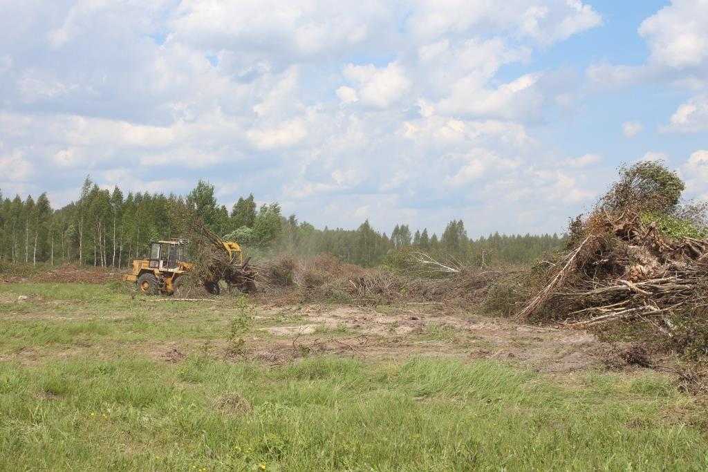 Уничтожение древесно-кустарниковой растительности, пней и погребенной древесины с кормовых угодий. химическая прополка. удаление нежелательной растительности