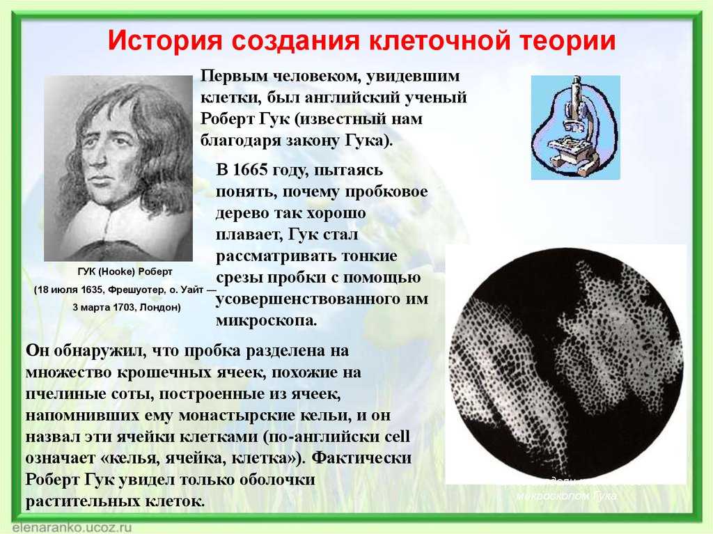 Биология