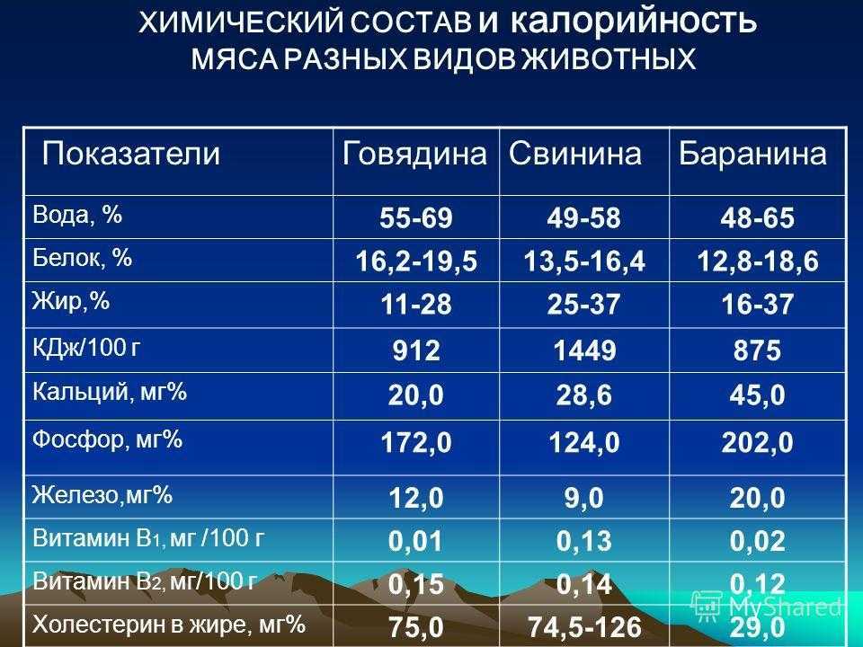 Морфологический и химический состав, свойства мяса — всё об инвестициях в апк