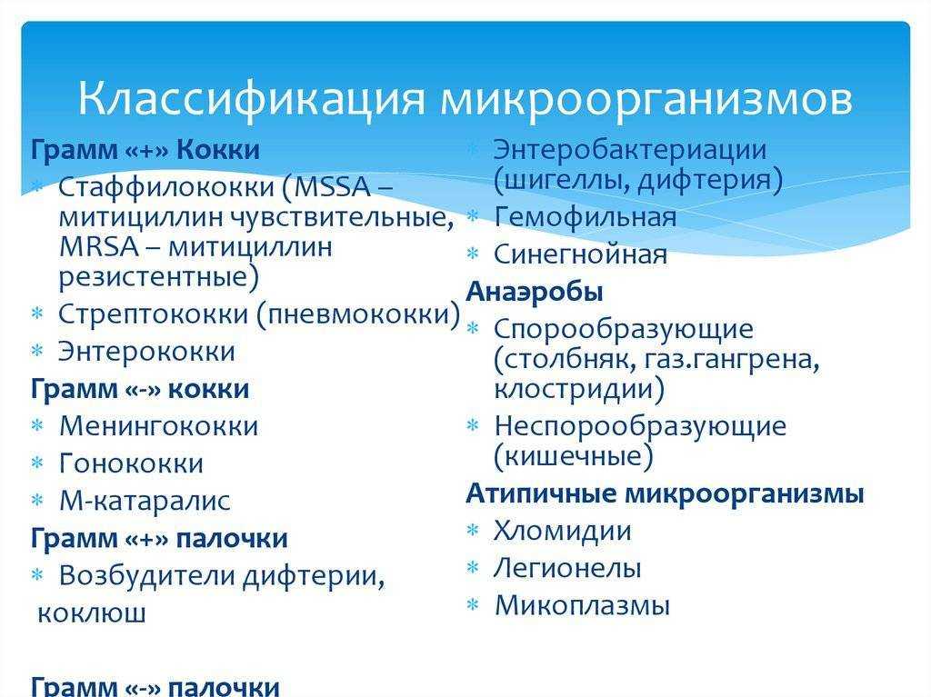 Морфология