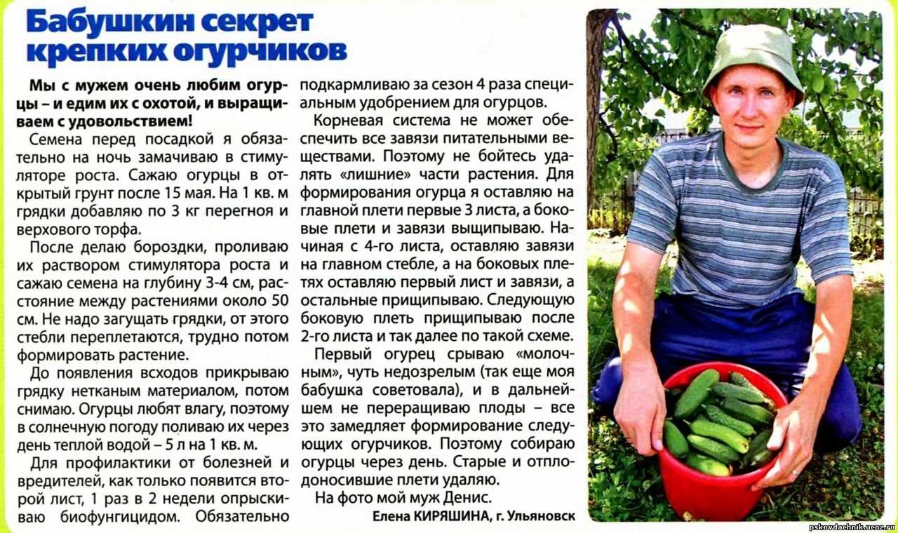 Сидераты