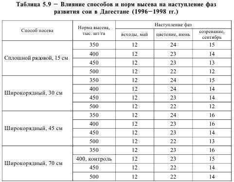 Технология выращивания сои: посадка, уход, полив