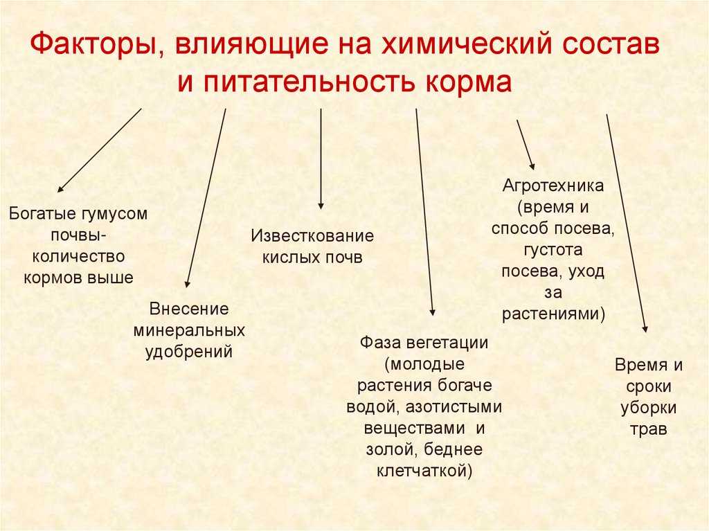 Качество комбикорма
