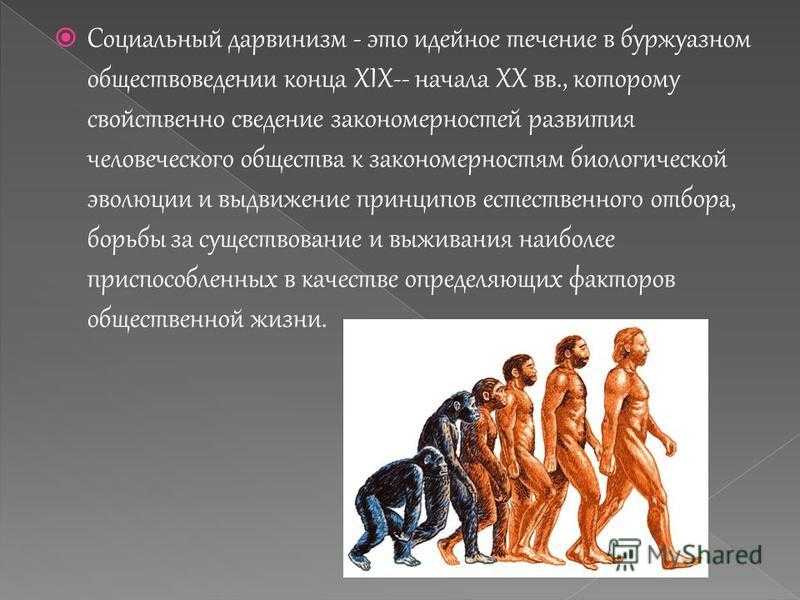Дарвинизм и антидарвинизм кратко