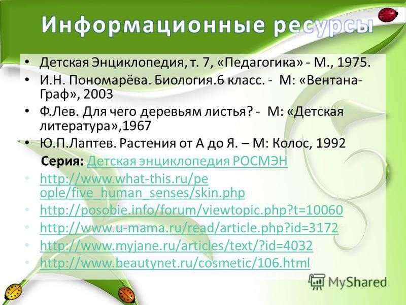 Жожоба