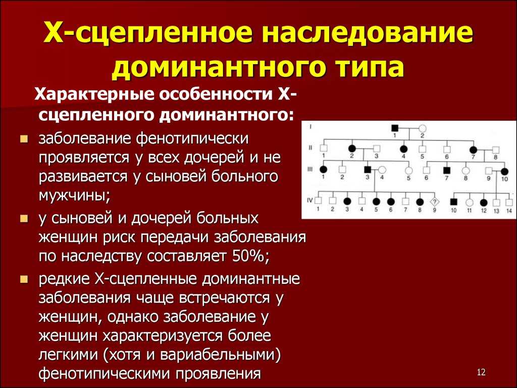 Наследование, сцепленное с полом – признаки определения
