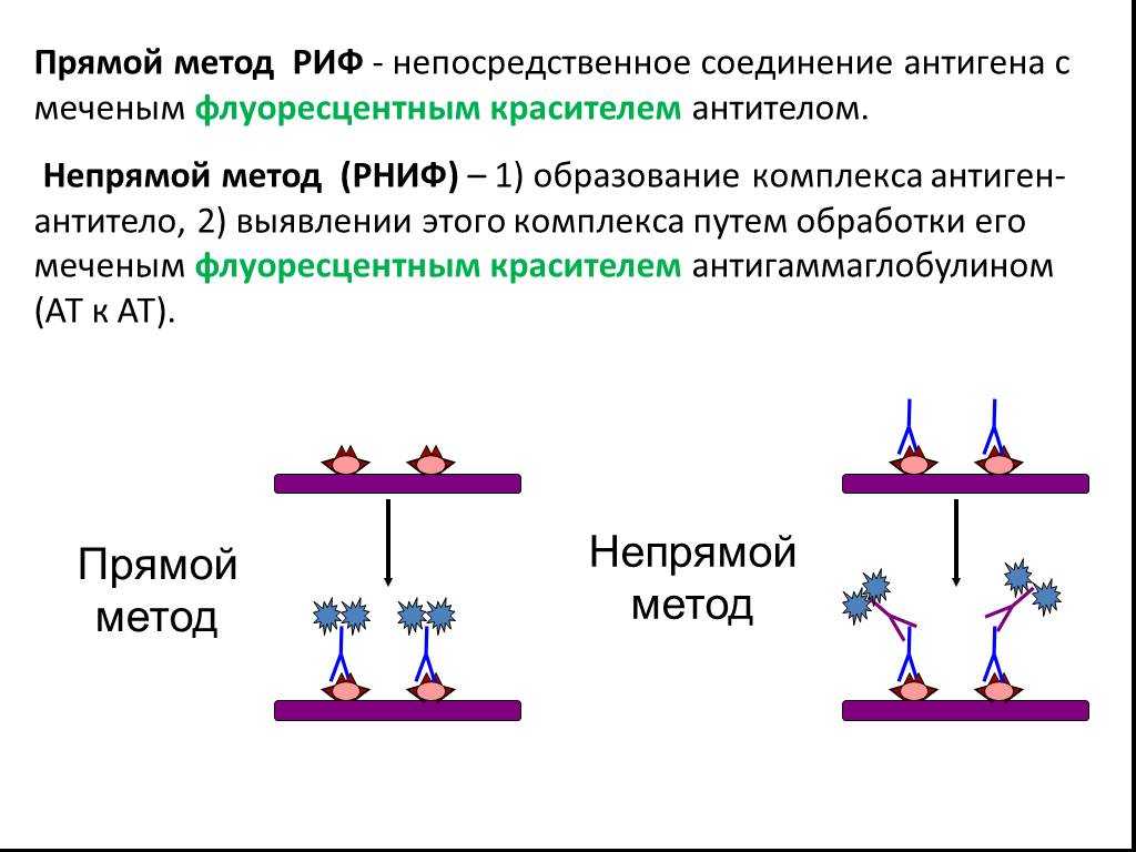 Методы лабораторной диагностики инфекционных заболеваний животных