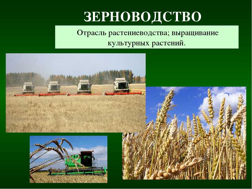 Диплом: разработка агрокомплекса по проведению поверхностного и коренного улучшения