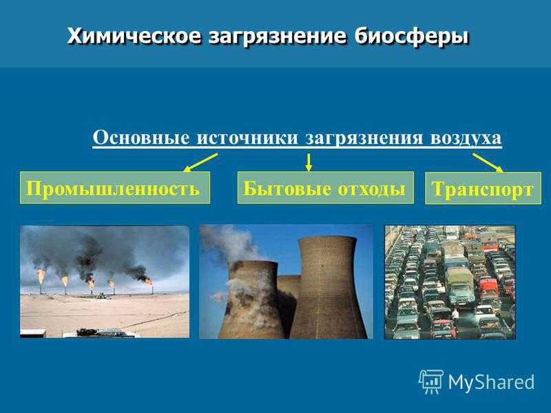 Загрязнение окружающей среды токсикантами и количественные критерии
оценки его фактического уровня. загрязнение окружающей среды.