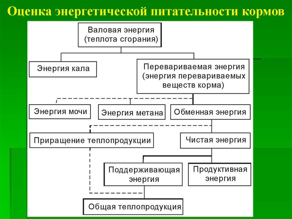 Рейтинг лучших производителей комбикормов на 2023 год