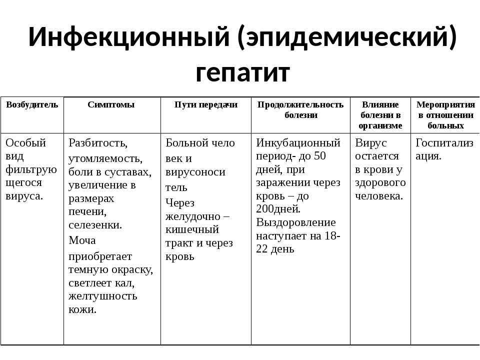 Острый и хронический инфекционный гепатит у собак: симптомы, причины и правильное лечение