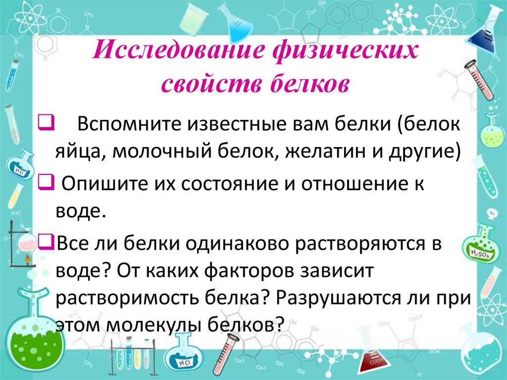 Подробное строение куриного яйца и яйца других птиц: скорлупа, белок и желток