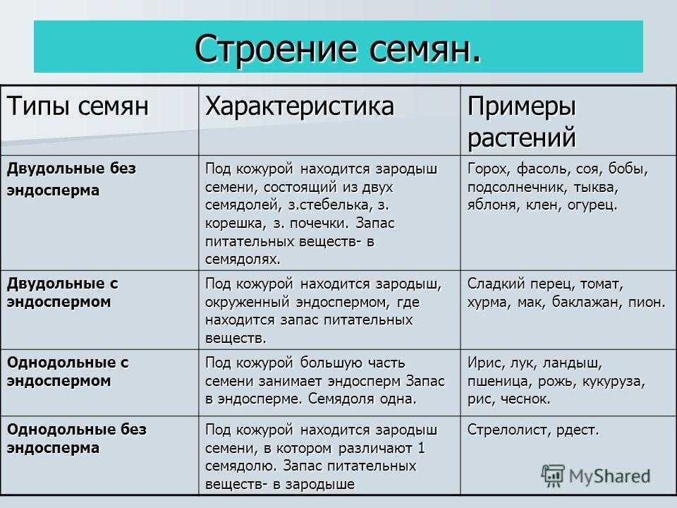 Глава 6