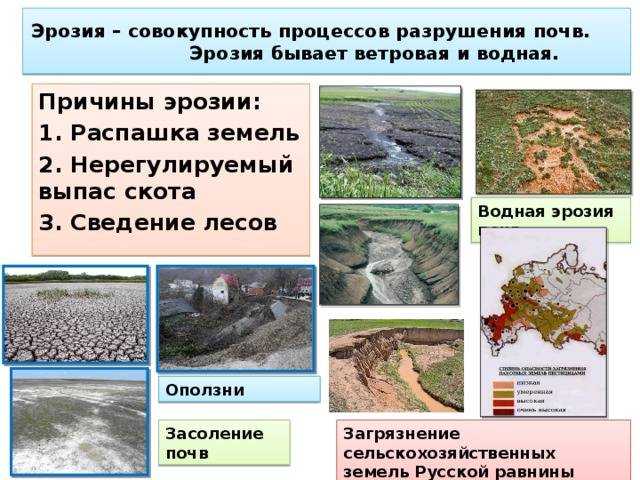 Эрозия почв: причины, виды, защита от дефляции