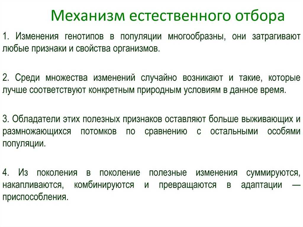 Естественный отбор ️ и его формы, примеры, сравненительная характеристика