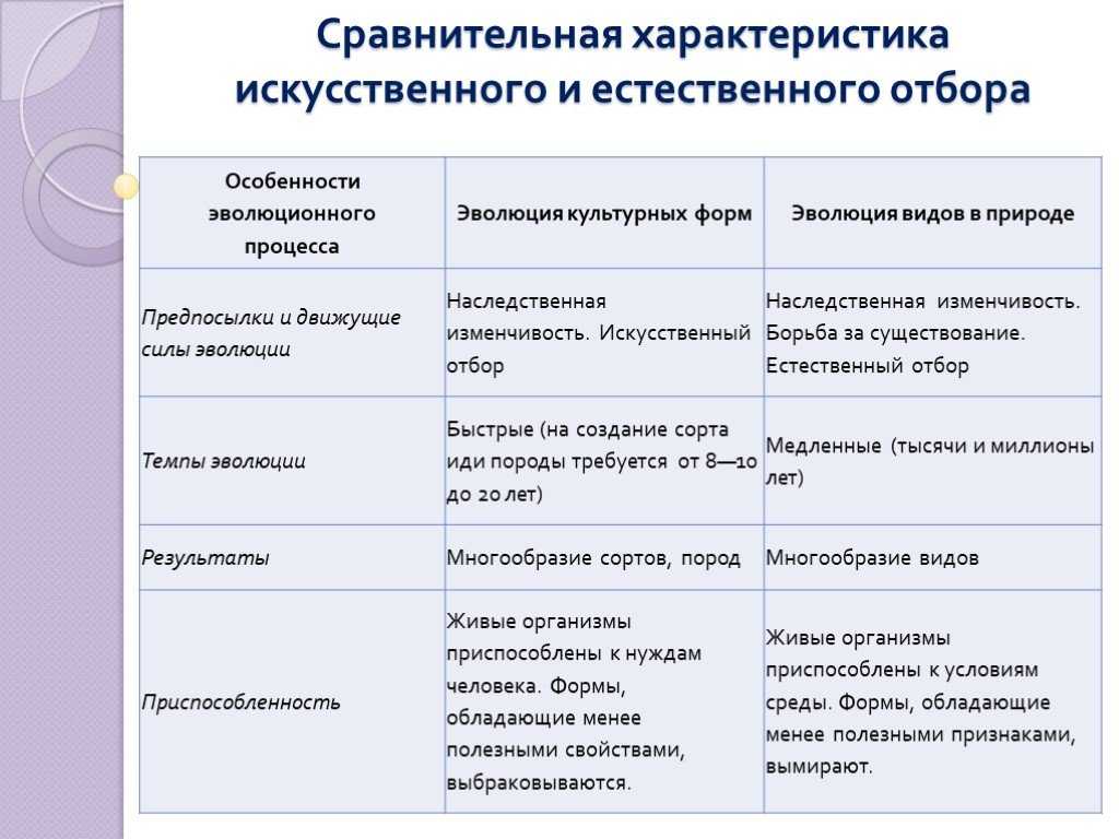 Отбирающие факторы в искусственном отборе: кто и что влияет на выбор?