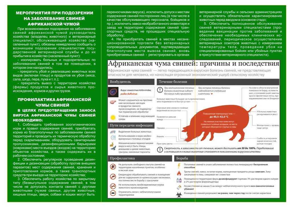 Везикулярная болезнь свиней - swine vesicular disease