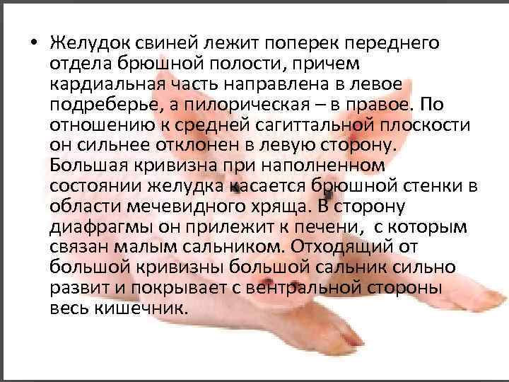 Восприятие питательных веществ во рту и желудочно-кишечном тракте регулирует потребление корма у свиней