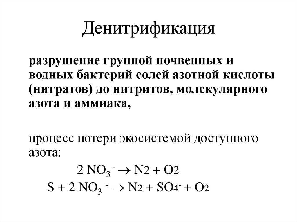Круговорот азота в почвах хвойных и мелколиственных лесов средней тайги | контент-платформа pandia.ru