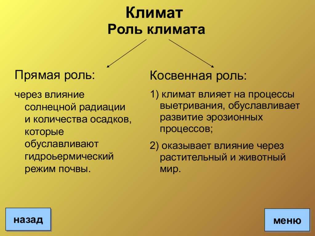 Почвообразование