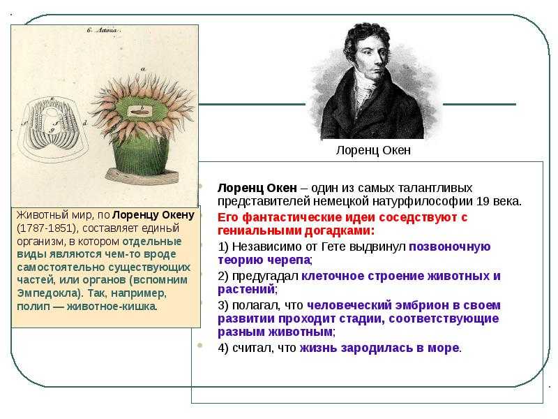 Натурфилософия - pictoris.ru