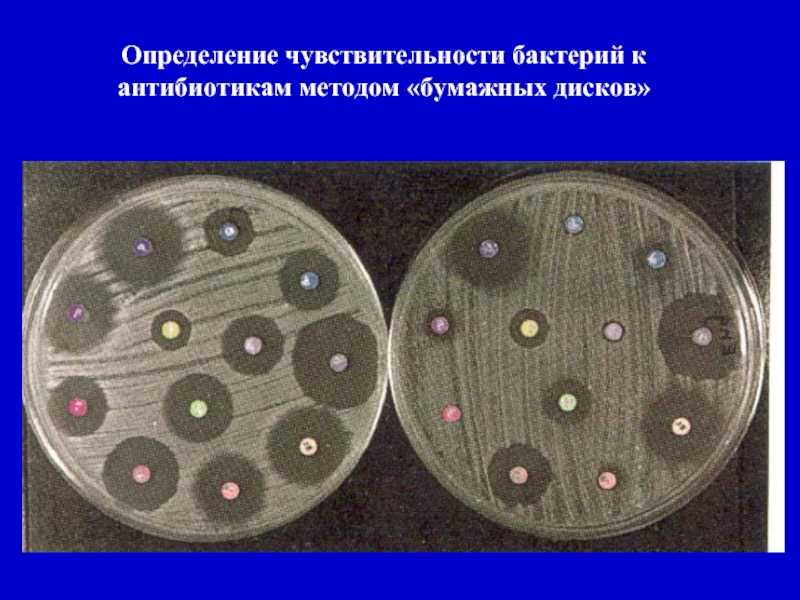 Метод серийных разведений микробиология кратко