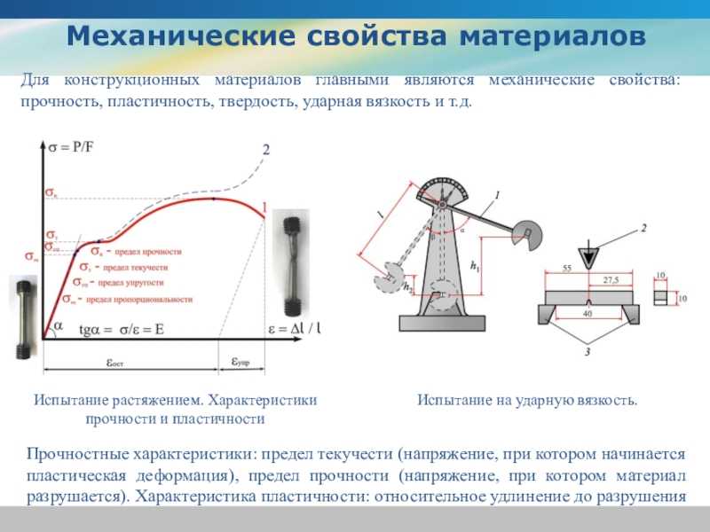 Свойства древесины