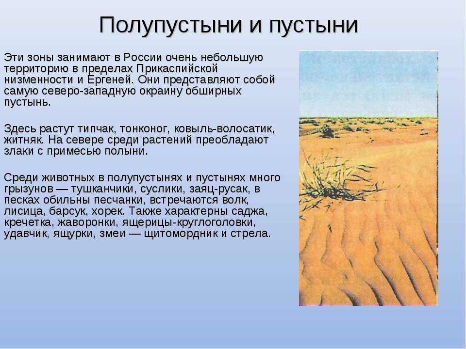 Бурые почвы полупустынной зоны - строение, классификация