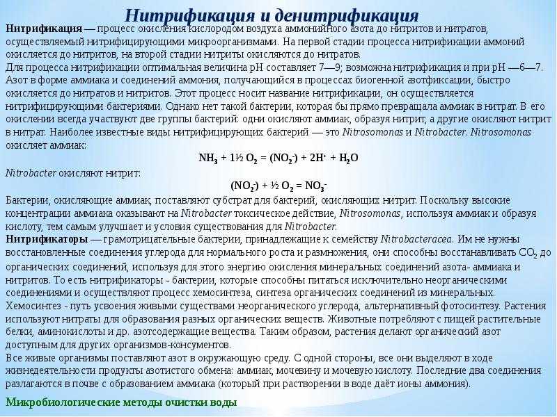 Различия между нитрификацией и денитрификацией