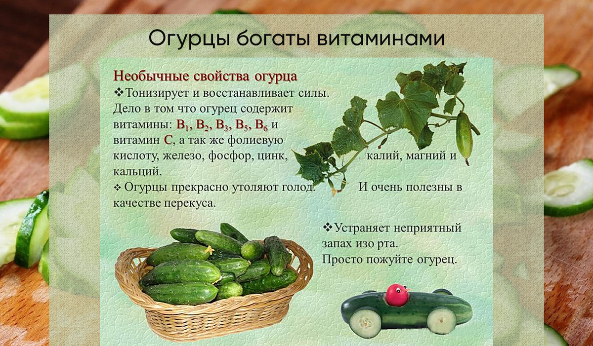 Огурцы: характеристики и особенности огурцов