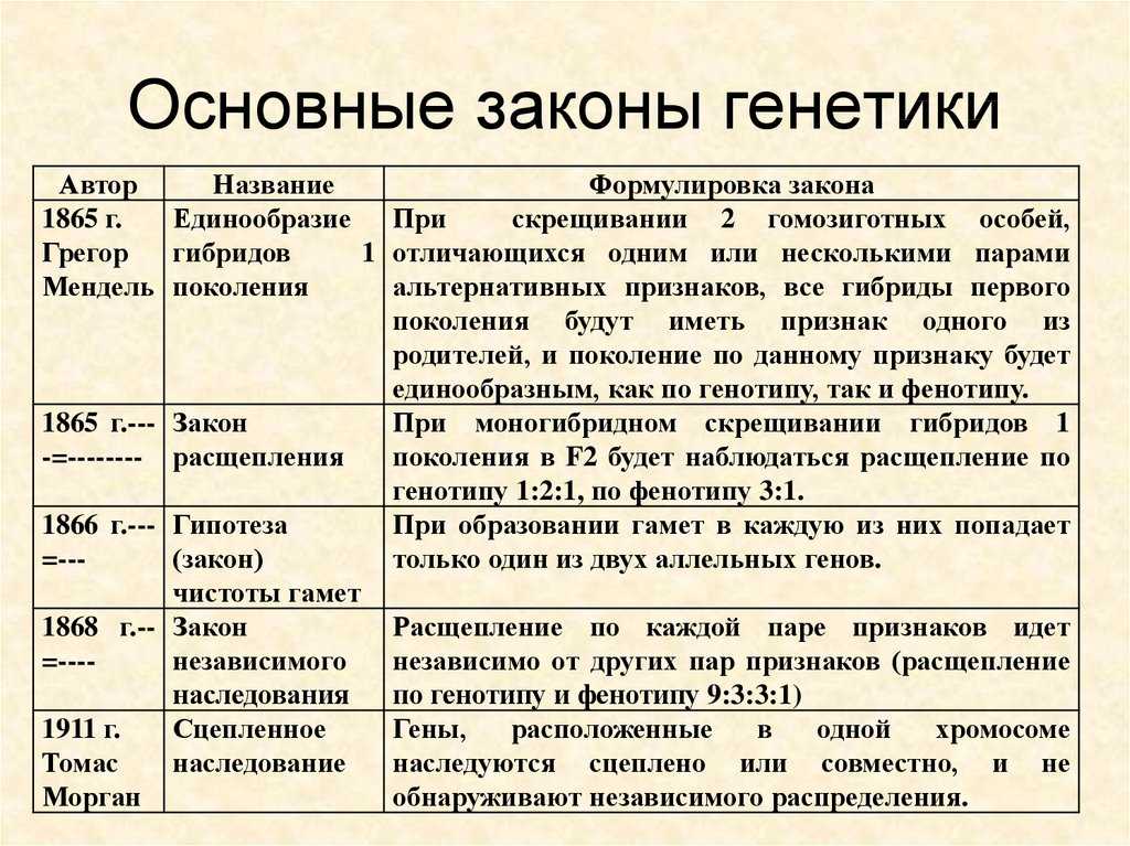 Основные законы наследственности  - всё для чайников