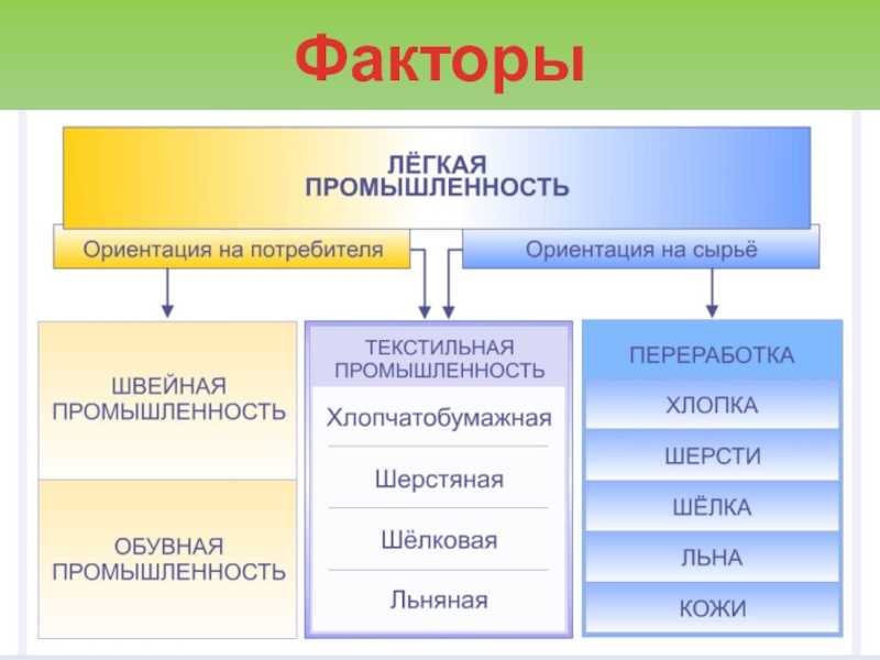Плесневые грибы в пищевых продуктах: как определить наличие, чем опасны